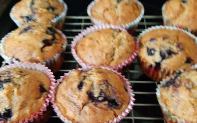 Blueberry Muffins Upper Glanmire ICA