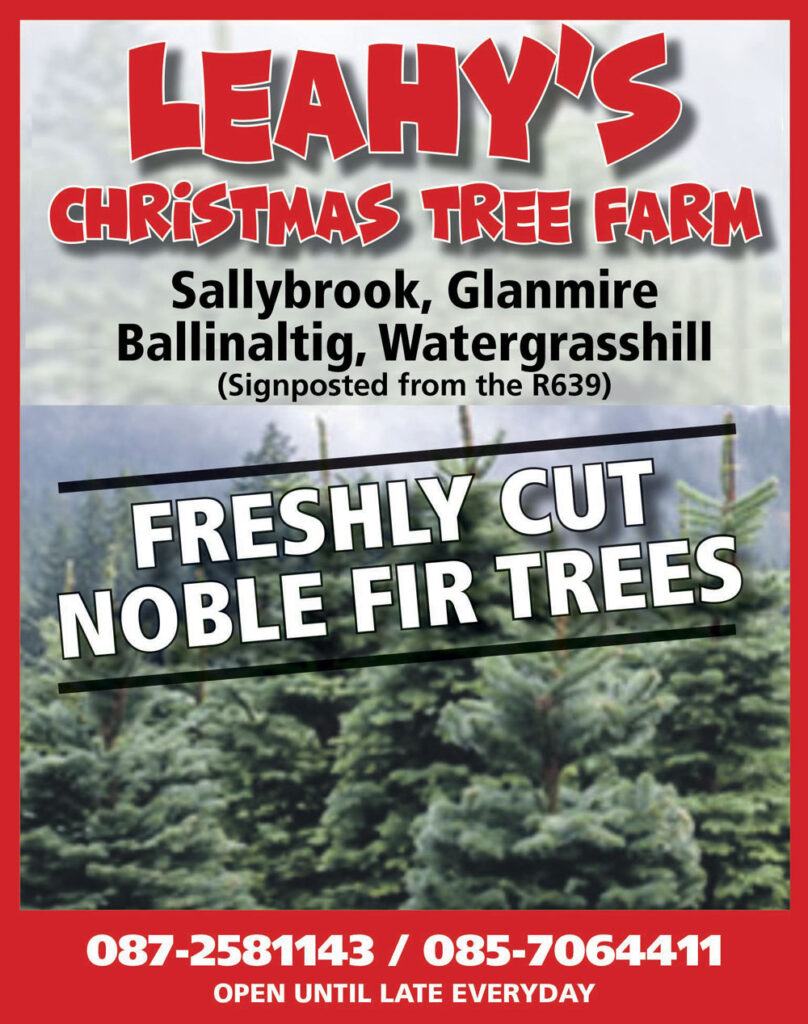 Leahy's Christmas Tree Farm December 2020